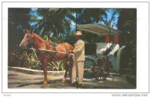 Man with horse and cart,Nassau, Bahamas, 40-60s