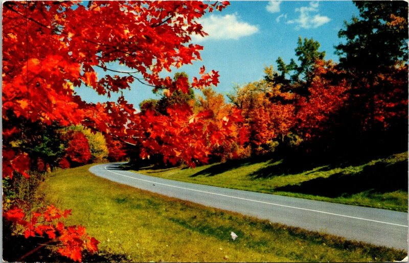 Autumn Color Parkway Blue Ridge Parkway Virginia North Carolina NC Postcard VTG  