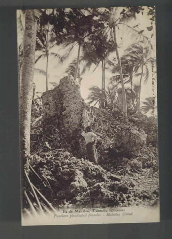 Menta Tahiti Polynesia Francesa Bw RPPC Tarjeta Postal Makaltea Isla Jungle