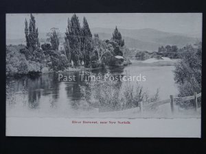 Australia TASMANIA near NORFOLK River Derwent c1905 by J. Walsh & Sons Ltd