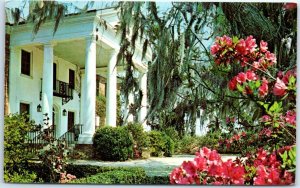 Postcard - Boone Hall Plantation - Mount Pleasant, South Carolina