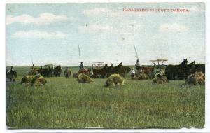 Horse Thresher Harvesting Farming South Dakota 1910c postcard