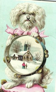 1890 Coffee Lion Trade Card Woolson Spice Victorian Sheep Dog Holding Tambourine