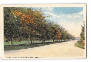 Santa Ana California CA Postcard 1919 Walnut Grove Grand Avenue