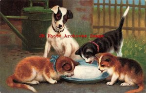 Unreadable Artist, German American Novelty No 672, Terrier Watching Cats