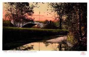 Postcard BRIDGE SCENE Cleveland Ohio OH AP7708