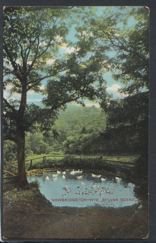 Herefordshire Postcard - Newbridge-On-Wye, Sylvan Scene    T3773