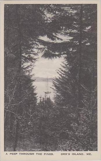 Maine Orrs Island A Peep Through The Pines Albertype