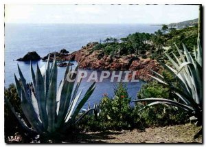 Modern Postcard The Gold Cornice Shores mediterranean