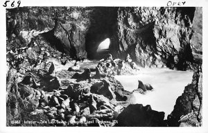 Interior, Sea Lion Caves real photo - Oregon Coast Highway, Oregon OR  