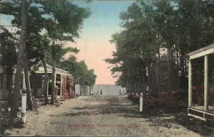 Harwich Port Cape Cod MA Ocean Grove c1910 Postcard