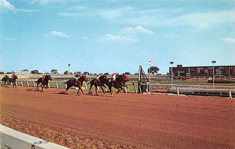 Hipodromo y Galgodromo Juarez Mexico Tarjeta Postal Unused 