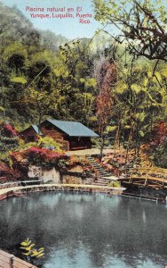 Yunque Luquillo Puerto Rico Piscina Vintage Postcard AA71522