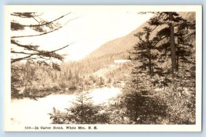 White Mountains New Hampshire NH Postcard RPPC Photo In Carter North c1910's