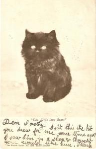 \The little lone coon\ Nice vintageEnglish postcard