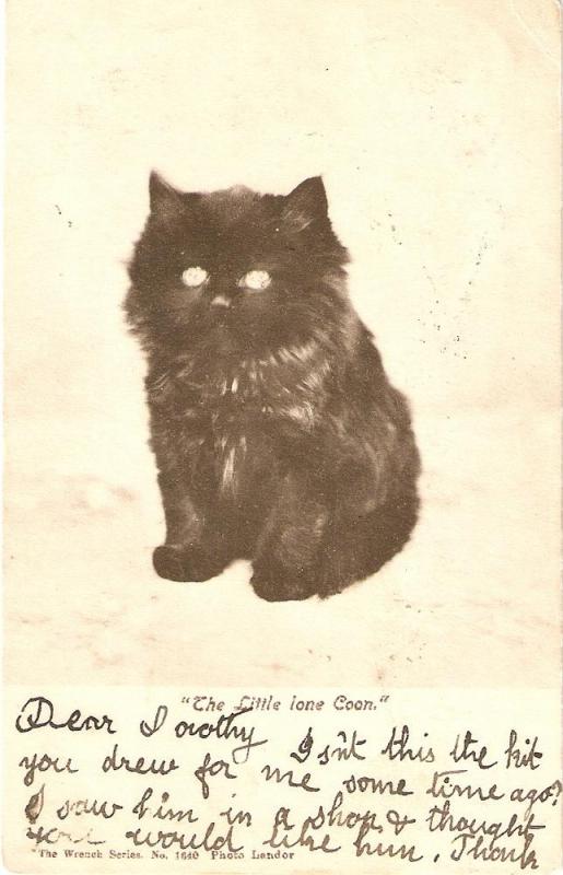 \The little lone coon\ Nice vintageEnglish postcard