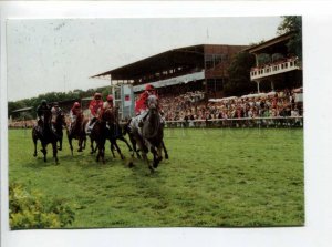 422716 GERMANY 1994 horse racing hippodrome ADVERTISING George Grosz Berlin RPPC