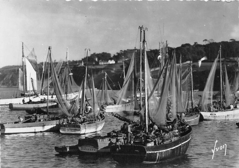 BR17433 Douarnenez Sardiniers au port ship bateaux  france