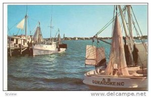 Shrimp Boats at Anchor, Ocracoke Island, North Carolina, 40-60s