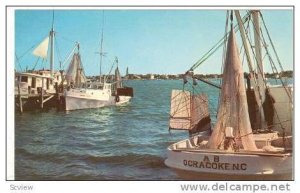 Shrimp Boats at Anchor, Ocracoke Island, North Carolina, 40-60s