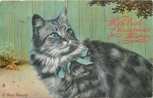 Postcard animals Raphael Tuck beautiful cat Christmas wishes