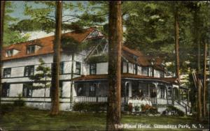 Sacandaga Park NY The Pines Hotel c1910 Postcard