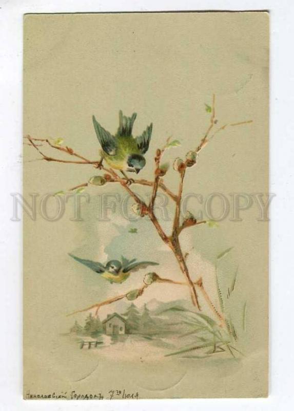 257660 KLEIN Birds Vintage POST Nikolayevsky Gorodok 1904 year