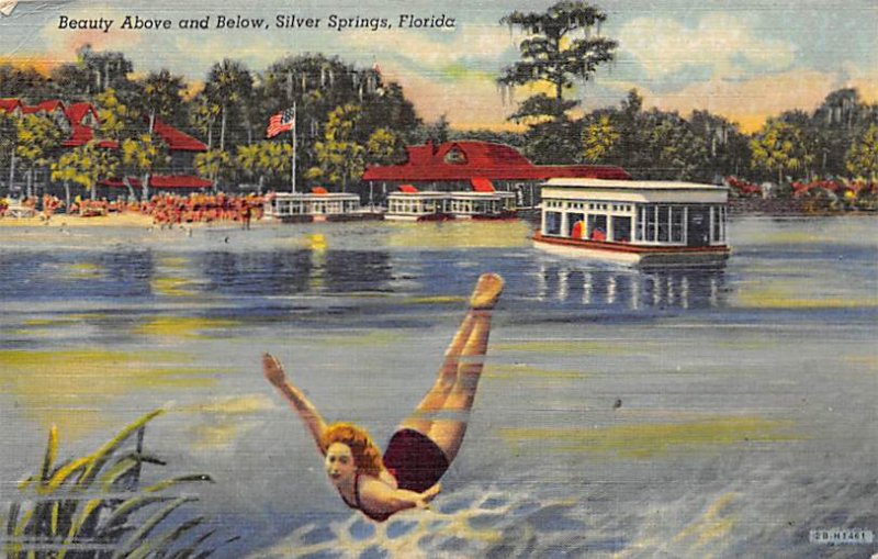 Beauty Above and Below - Silver Springs, Florida FL  