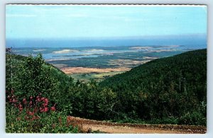 Birdseye view Cheticamp CAPE BRETON Nova Scotia Canada 1970 Postcard