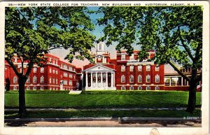 Postcard ARENA SCENE Albany New York NY AL8137