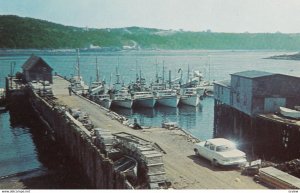 TIVERTON , Nova Scotia , Canada , 50-60s ; Fishing Fleet at Public Wharf #2
