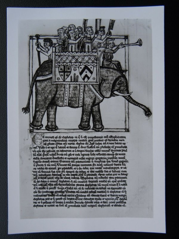 Historical Document BESTIARY Elephant from Latin Treatise RPPC British Museum