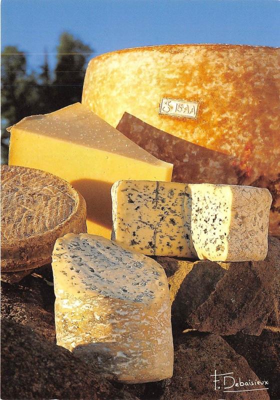 Bf40172 Les Plus Connus Des Fromages France Recette Recipe Kitcken Cuisine Europe France 