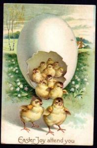 Chicks Emerge From Egg 1909 Embossed Easter Postcard