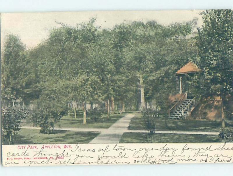 Pre-1907 PARK SCENE Appleton Wisconsin WI H4064