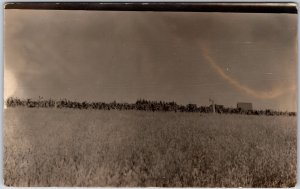 In The Meadows Farm Field Cornfield In Distance Real Photo RPPC Postcard