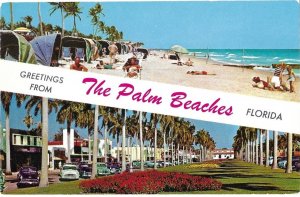 Greetings from The Palm Beaches Florida