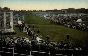 CHESTER CHESHIRE Race Course HORSE RACING Antique Postcard