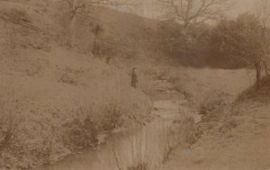 Kent Postcard - RP of Woodland & Stream, Tunbridge Wells Area RS23263