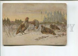 473055 MULLER Mueller HUNT Partridge Winter Vintage postcard