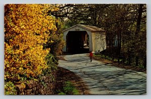 Green Sergeant's Covered Bridge New Jersey Vintage Postcard 0085