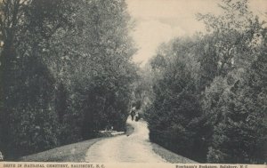 SALISBURY, North Carolina, 1900-10s; Drive in cemetery; TUCK 0250