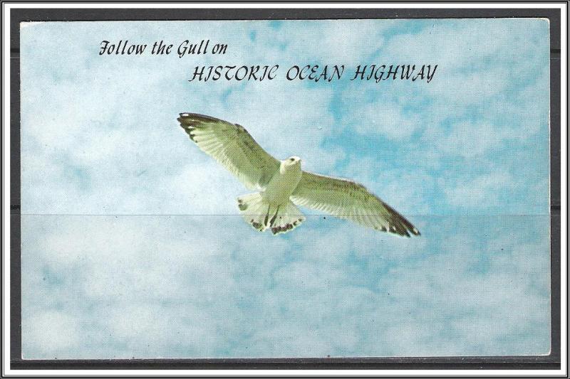 United States - Follow The Gull on Historic Ocean Highway - [MX-362]