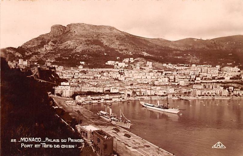 Port et Tete De Chien, Real Photo Palais du Prince Unused 