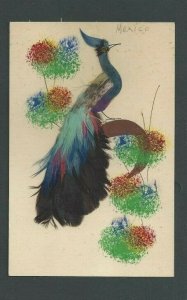 Ca 1910 Card W/Feathered Bird Multicolored