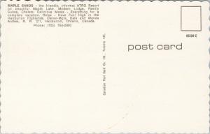 Maple Sands Atro Resort Maple Lake Haliburton Ontario ON Unused Postcard F10