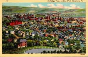 Pennsylvania Johnstown Birds Eye View Looking West Curteich