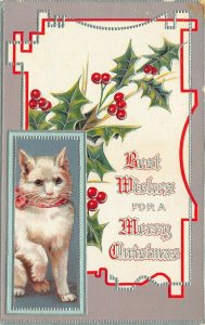 LP71  Christmas Postcard Cat