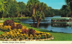 USA Florida's Colorful Silver Springs Glass Bottom Boats Vintage Postcard 07.56