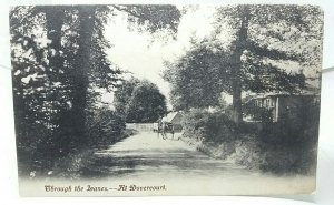 Man Driving Horse & Cart down a Lane at Dovercourt Essex Vintage Postcard 1906